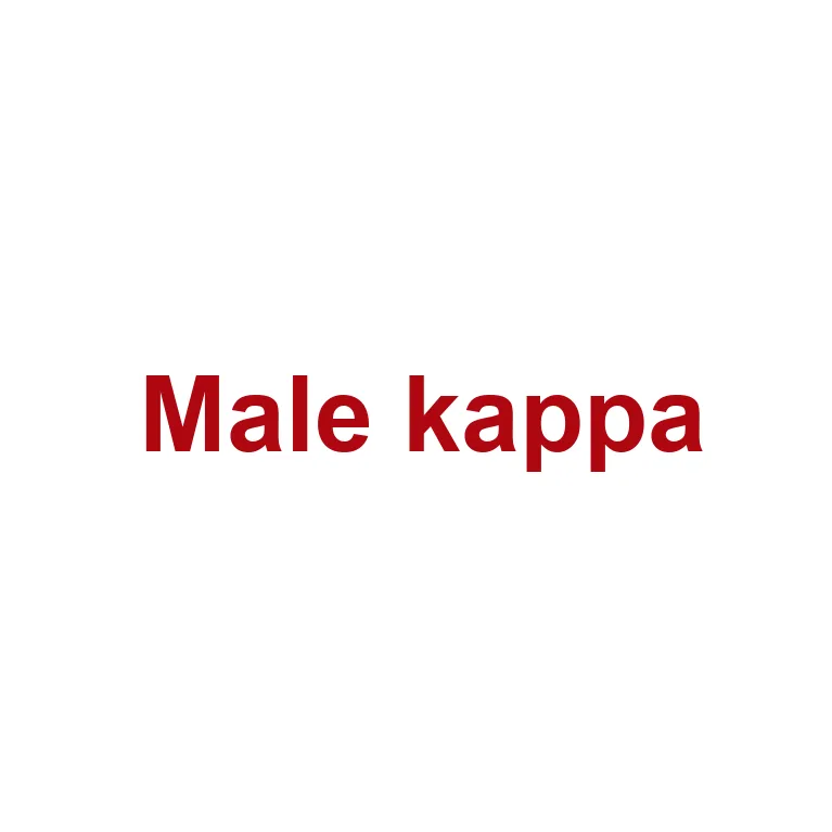 Kappa Casual Pants Women's Gray Khaki 602-3