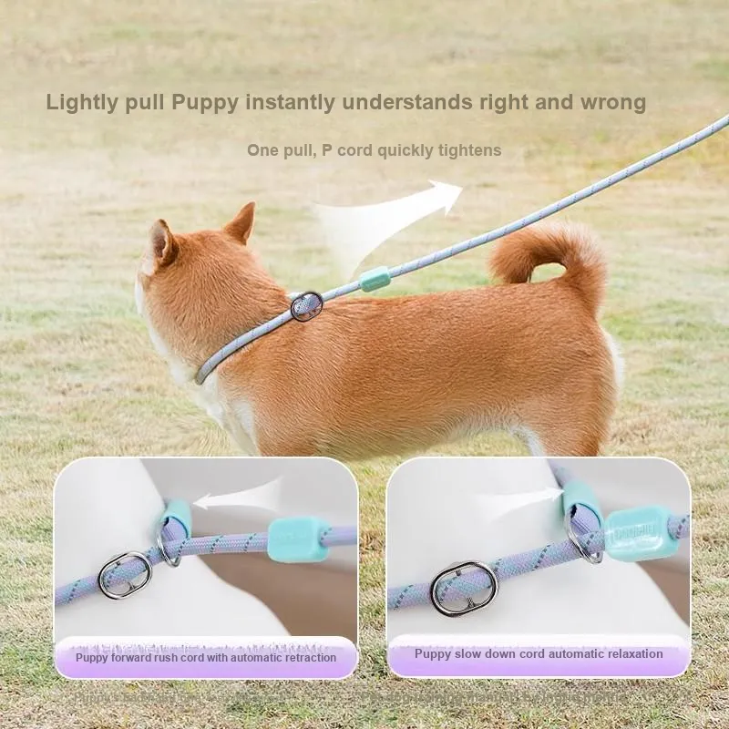 Hippie dogs Leashes-1