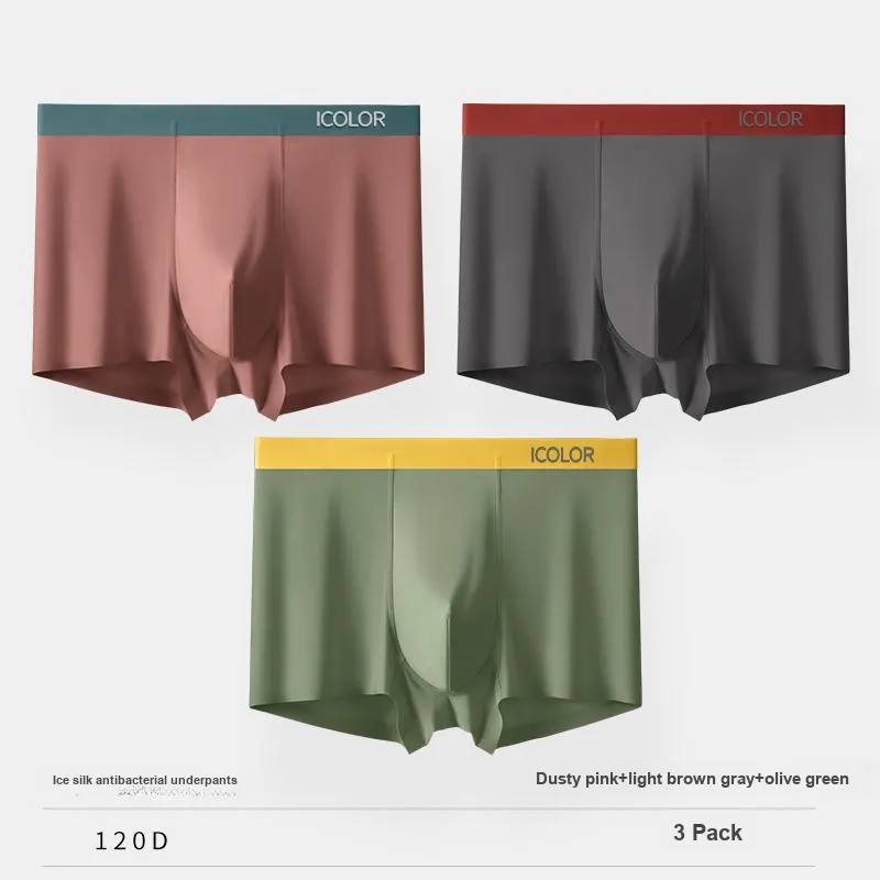 Icolor Men Underpants-7