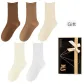 Dark Coffee, Khaki, Beige, Ecru, White (5 Pack)