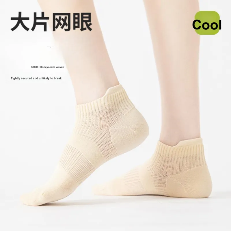 Thirteen day Season Ankle Socks Women's 5 Pack-12