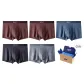 Red Coffee+Red Coffee+Gray Blue+Dark Gray+Eyeshadow Gray