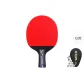 Five-Pointed Star PA8005D[Short Handle Penhold Grip*1]
