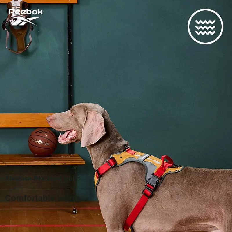 Reebok Leashes-1