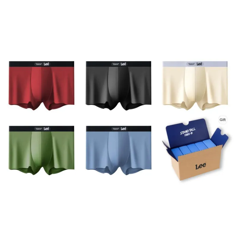 Lee Underpants Men's 5 Pack Gift Box Set-6
