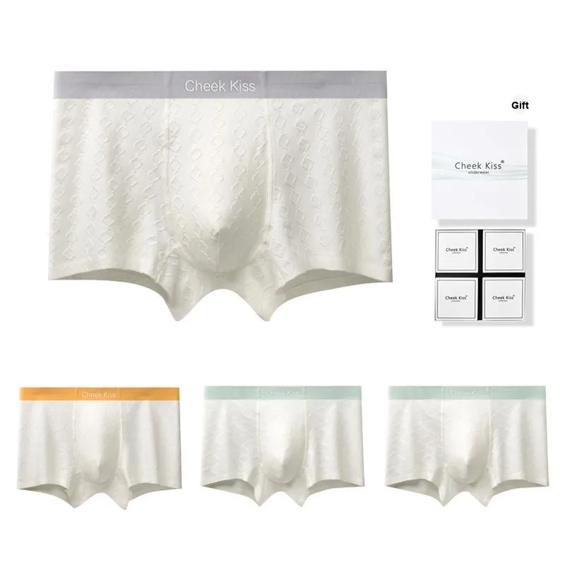 Cheekkiss Underpants Men's Box 3 Pack-31