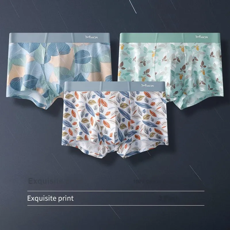 MIIOW Men Underpants-38