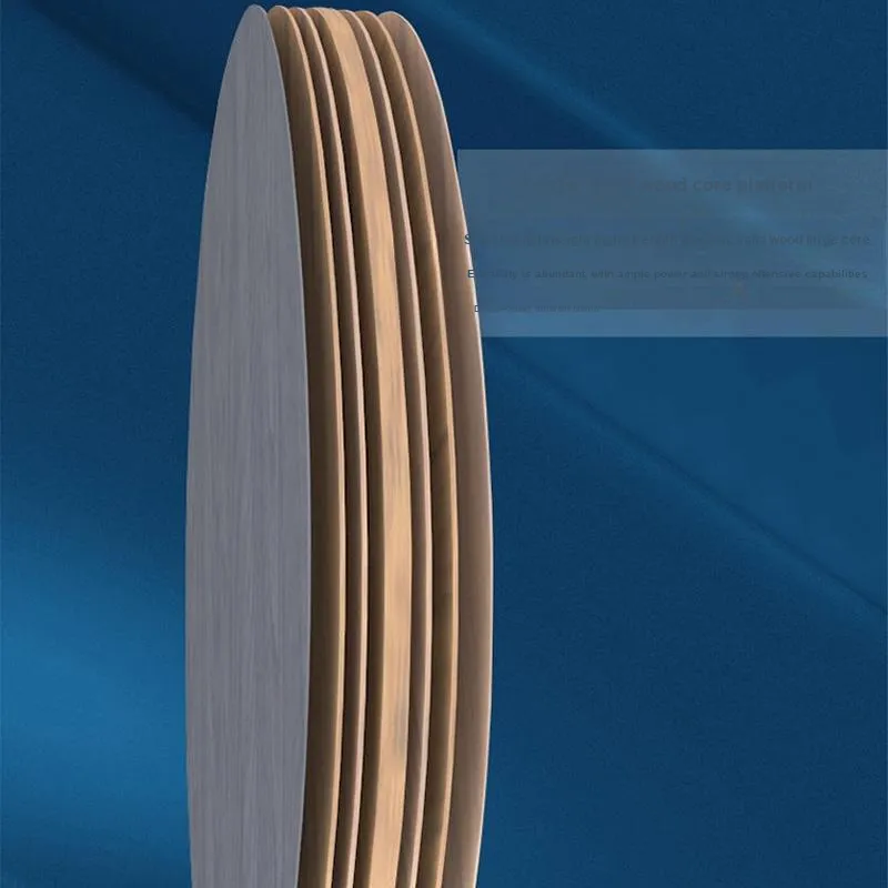 DHS Ping Pong Paddles-5