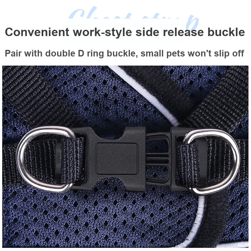 Pampering Leashes-18