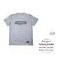 White Gray (Iron Gray Steady)