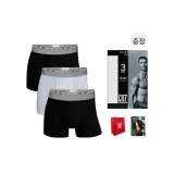 3 Pack (Mixed Color) with Shopping Bag Included