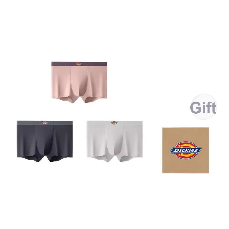 Dickies Underpants Men's Box 3 Pack-0