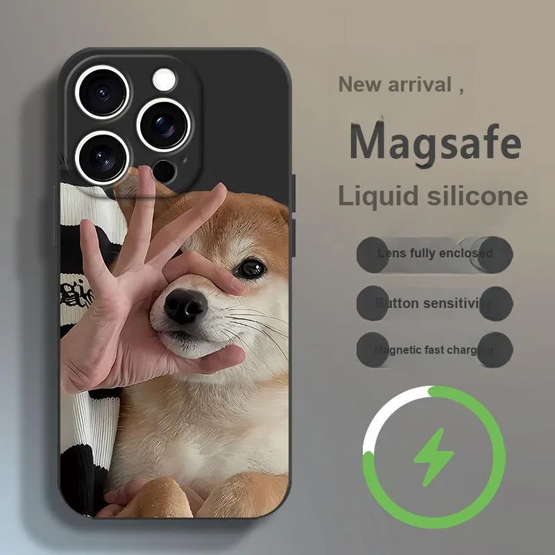 Baochengbao Phone Cases-1