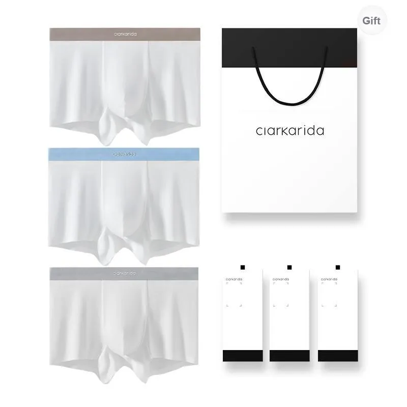Clarkarida Underpants Men's Shopping Bag 3 Pack-10