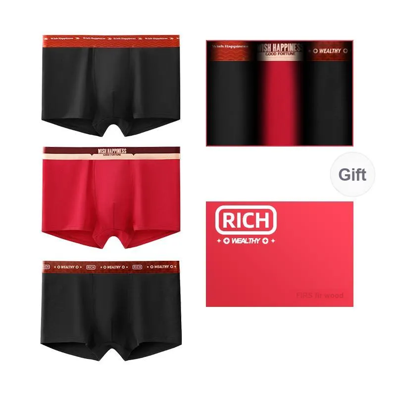 FIRS Men Underpants-12