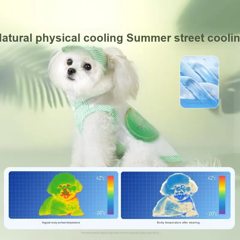 Hippie dogs Pet Clothing-2