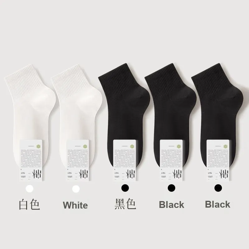 B&C.Room Men Socks-5