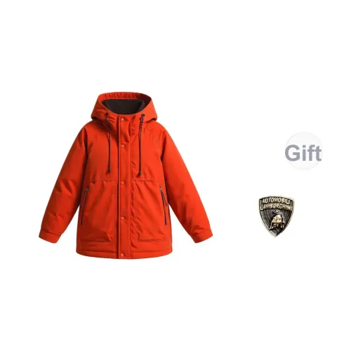 AUTOMOBILI LAMBORGHINI Пуховик Унисекс