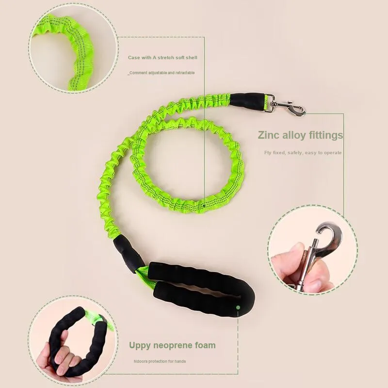 Pampering Leashes-2