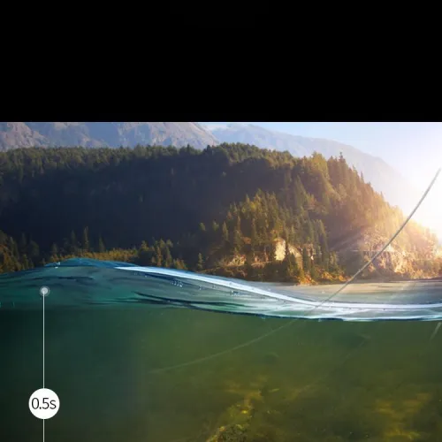 Higman Fish Line