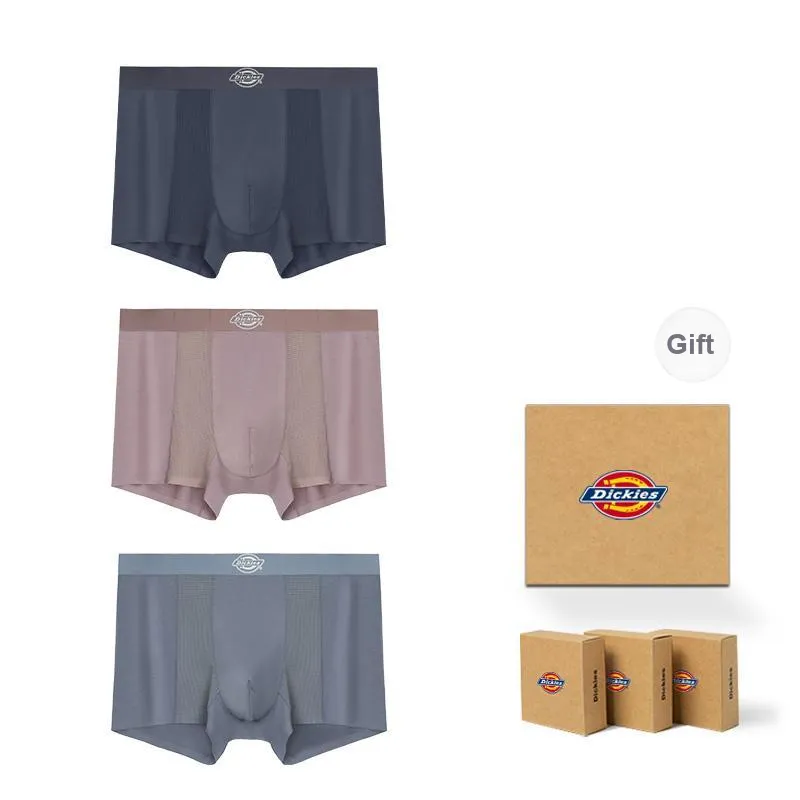 Dickies Underpants Men's Skin Friendly Minimalist Style Comfortable Modal Boxer Shorts Box Combo Set-12