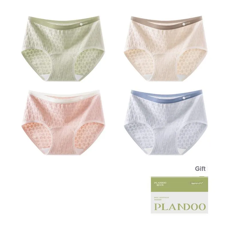PLANDOO Underpants Women's Shopping Bag 4 Pack-4