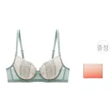 생강 넛