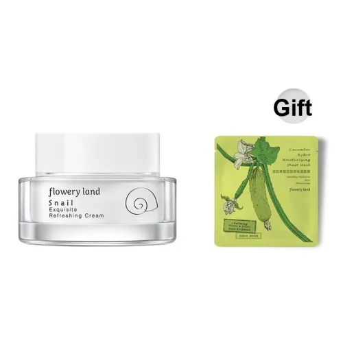 HUAJICUI Улитка Нет Макияж Крем 2 в 1 Уход за кожей и Макияж Осветляющий Тон кожи Увлажняющий Маскирующий