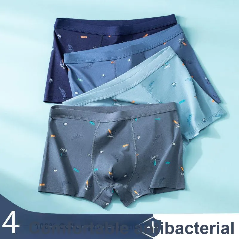 XISHE Underpants Men's Combo Set-19