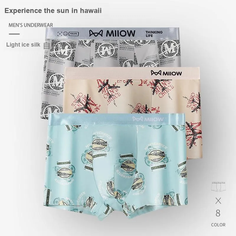 MIIOW Underpants Men's Combo Set-21