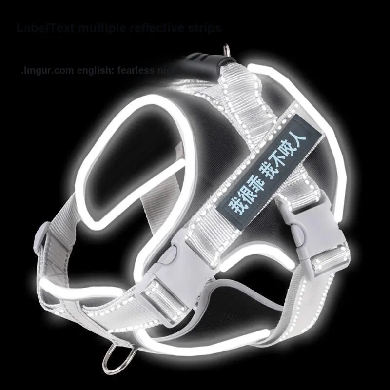 Pampering Leashes-11
