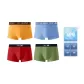 0273 Warm Mango Yellow+0273 Swift Blue+0463 Black Tea+0463 Willow Green (Box 4 Pack)