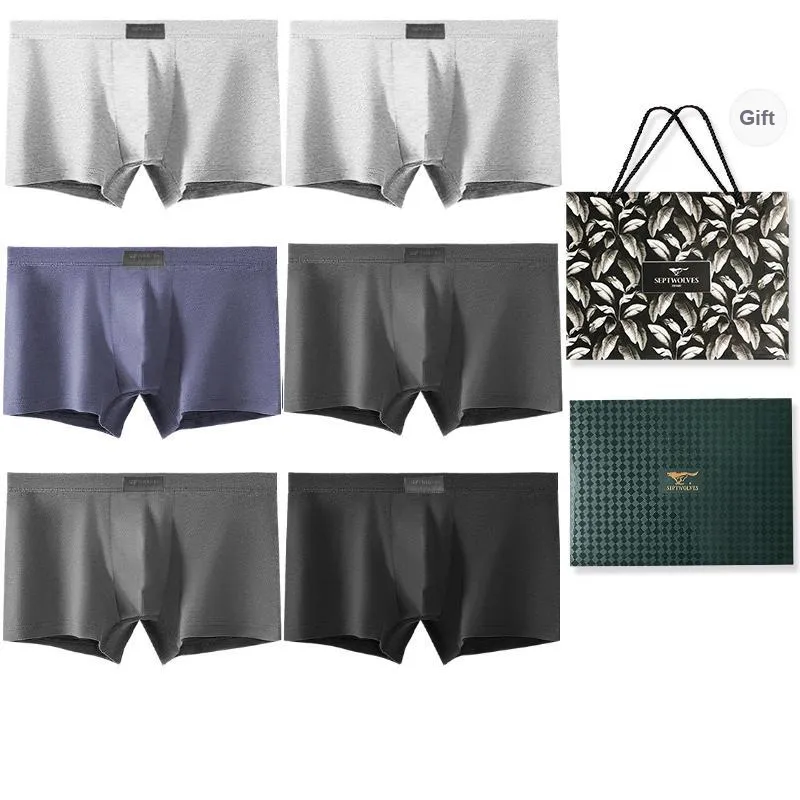 SEPTWOLVES Underwear Gift Boxes Men's 6 Pack-13