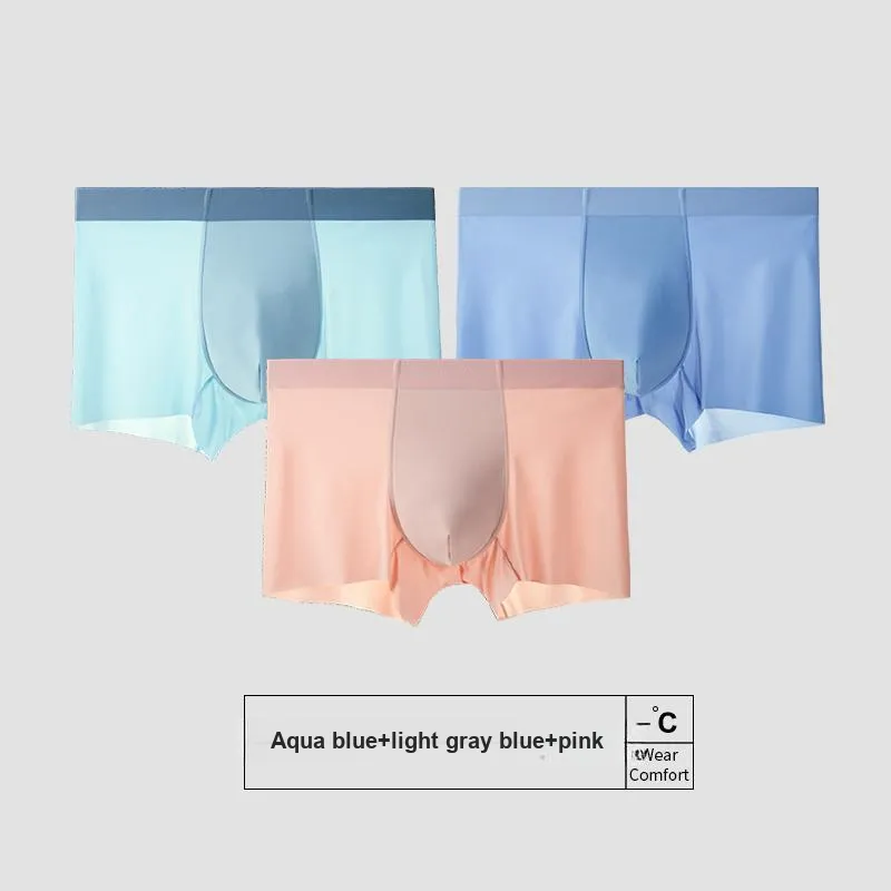 Icolor Men Underpants-17