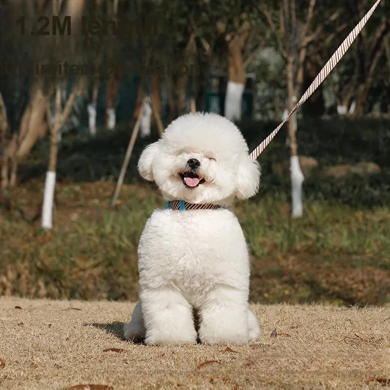 Zeze Leashes-3