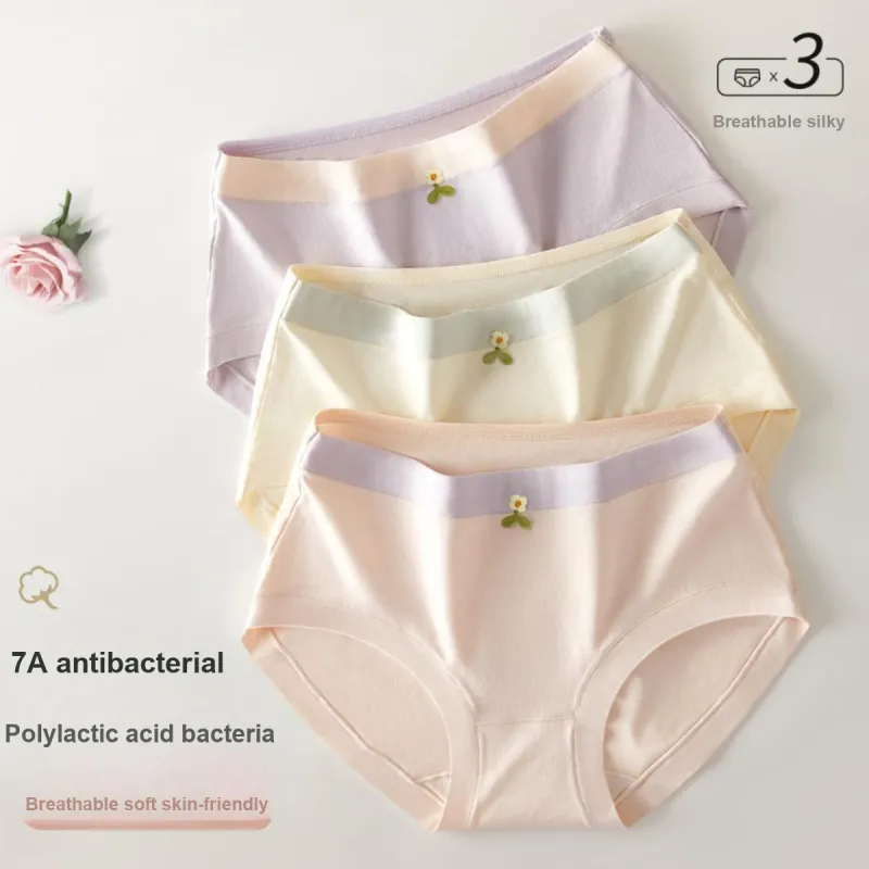 Ordifen Underpants Women's 3 Pack-8