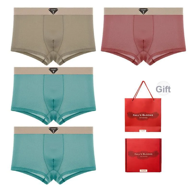 Maiden House Underwear Gift Box Men's 4 Pack-6