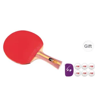DHS Ping Pong Paddles Unisex All Wood