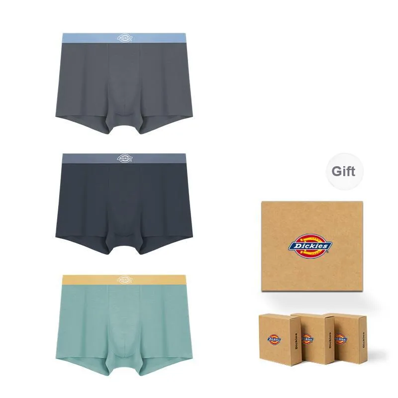 Dickies Underpants Men's Box 3 Pack-41