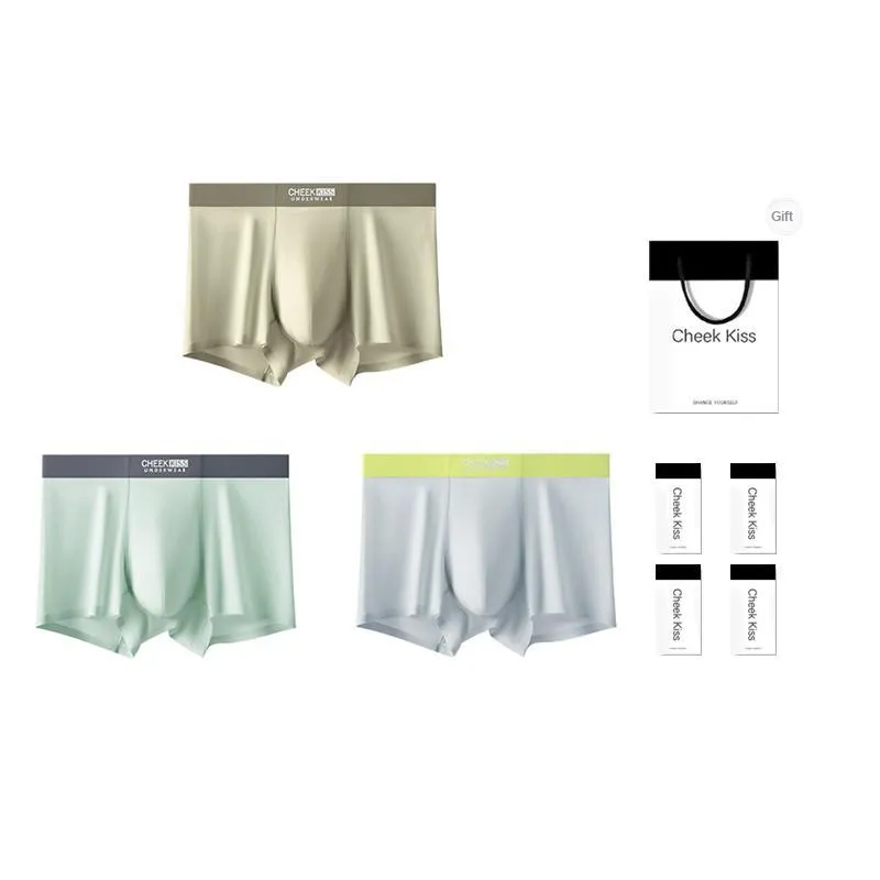 Cheekkiss Underpants Men's Box 3 Pack-5