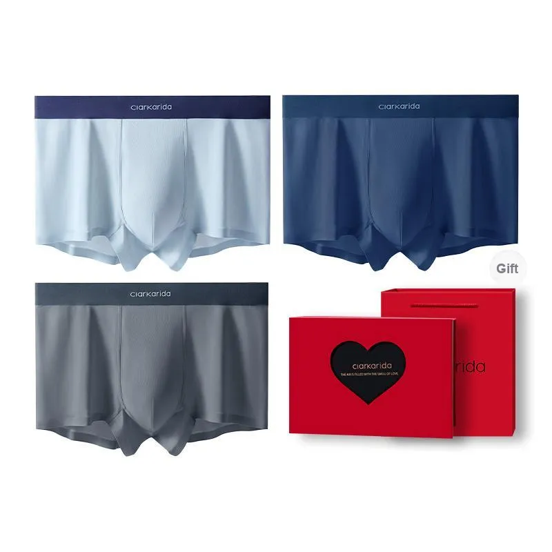 Clarkarida Underpants Men's 4 Pack-12