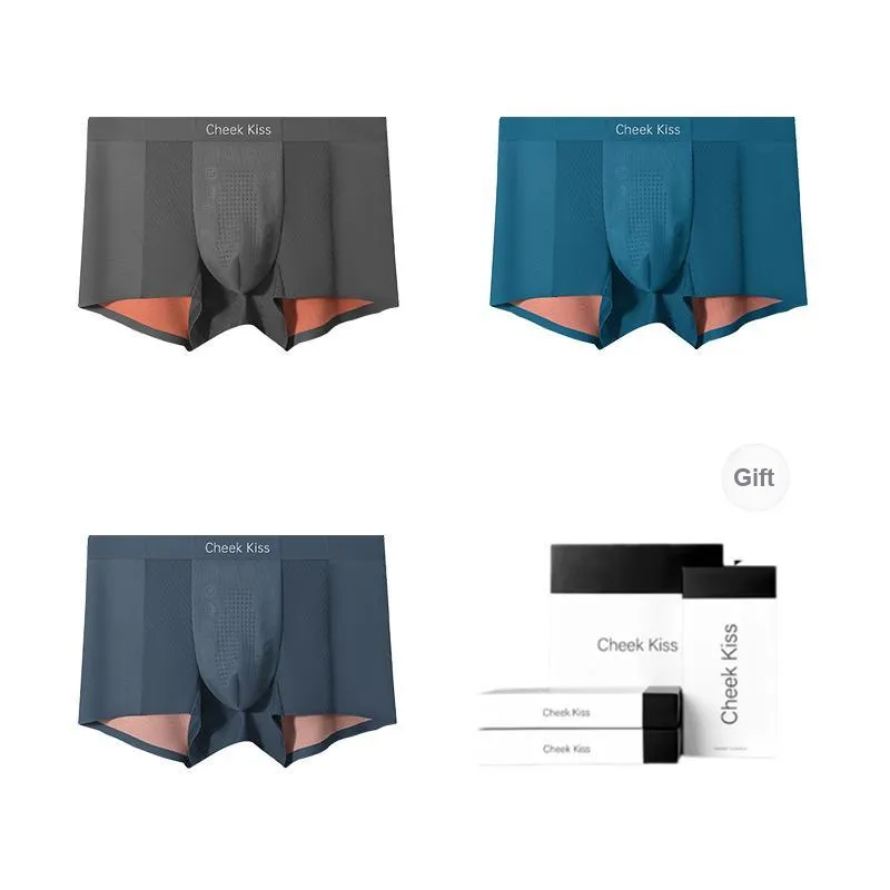 Cheekkiss Underwear Gift Boxes Men's 3 Pack-29