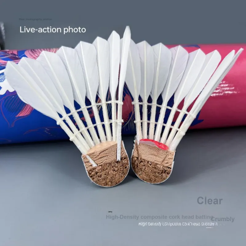 Antarctic winds Shuttlecocks-2