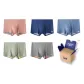 Charcoal Orange+Dark Blue+Light Blue+Light Green+Light Gray (Box 5 Pack)