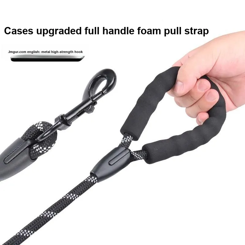 Gasco Leashes-2