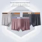 Ice Gray+Platinum Gray+Cameo Brown