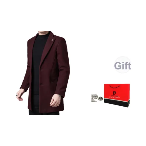 PIERRE CARDIN Мужское пальто