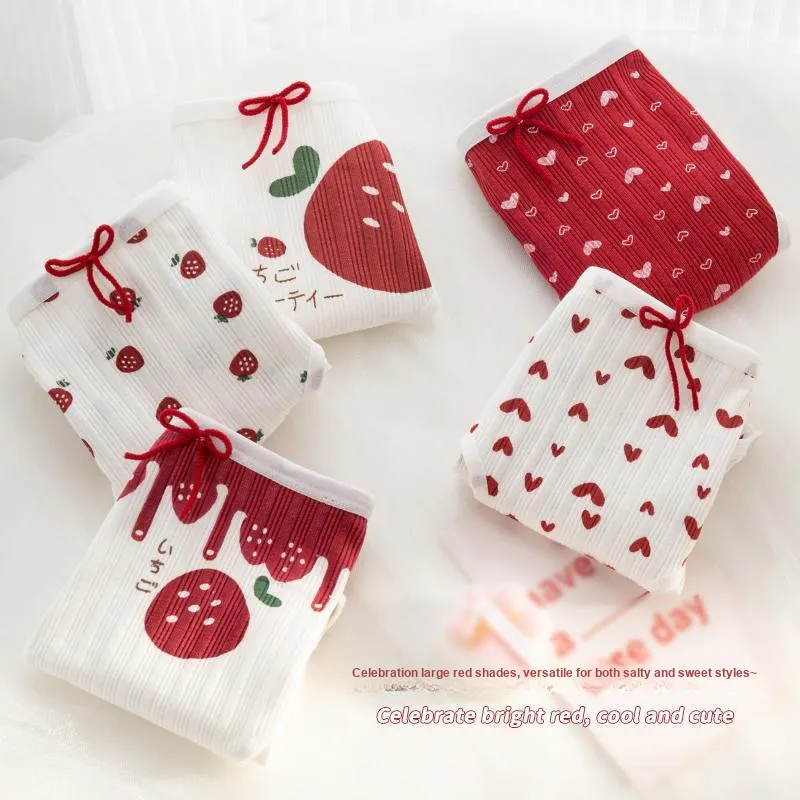 FENTENG Underpants Women's 3 Pack-1