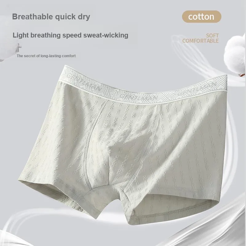 PLANDOO Underpants Men's 2 Pack-25