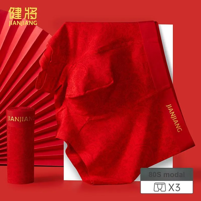Master Men Underpants-1